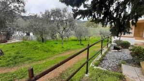 A garden with a wooden fence, a gravel path, and trees. - Holiday Marina di Tertenia 150 meters from the sea IUN P2910 (Tertenia)