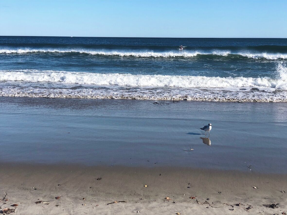 Ranta lähistöllä, aurinkotuoleja, rantapyyhkeitä