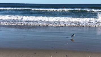NĂ€ra stranden, solstolar och strandhanddukar
