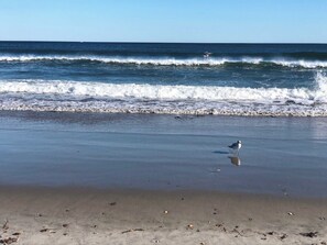 Beach nearby, sun-loungers, beach towels