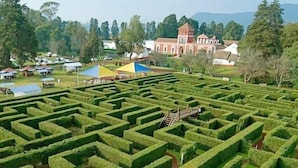 A maze garden with hedges, a building in the background, and a clear sky.