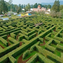 Un jardín laberinto con setos, un edificio al fondo y cielo despejado.
