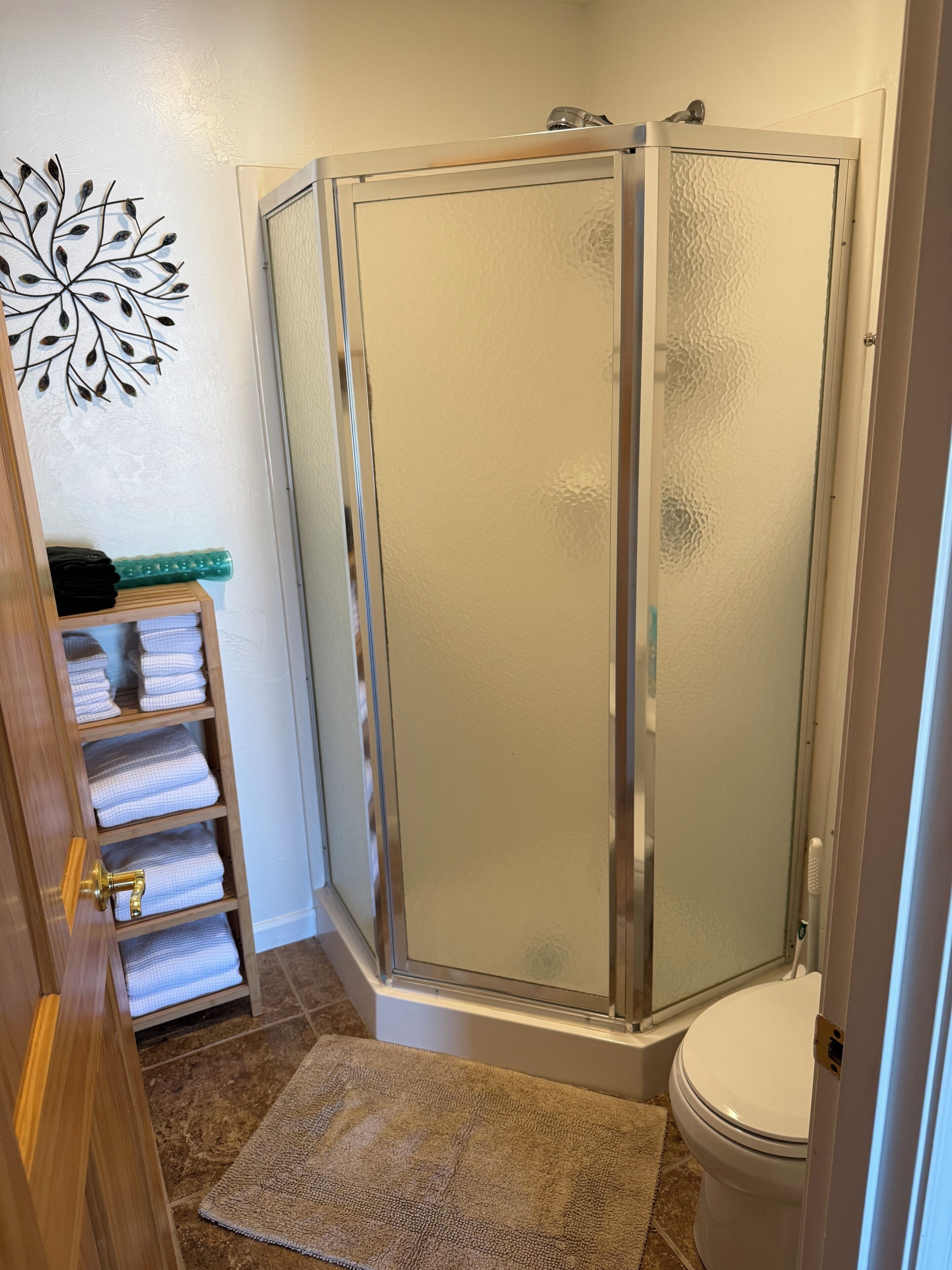 Shower, hair dryer, towels, shampoo