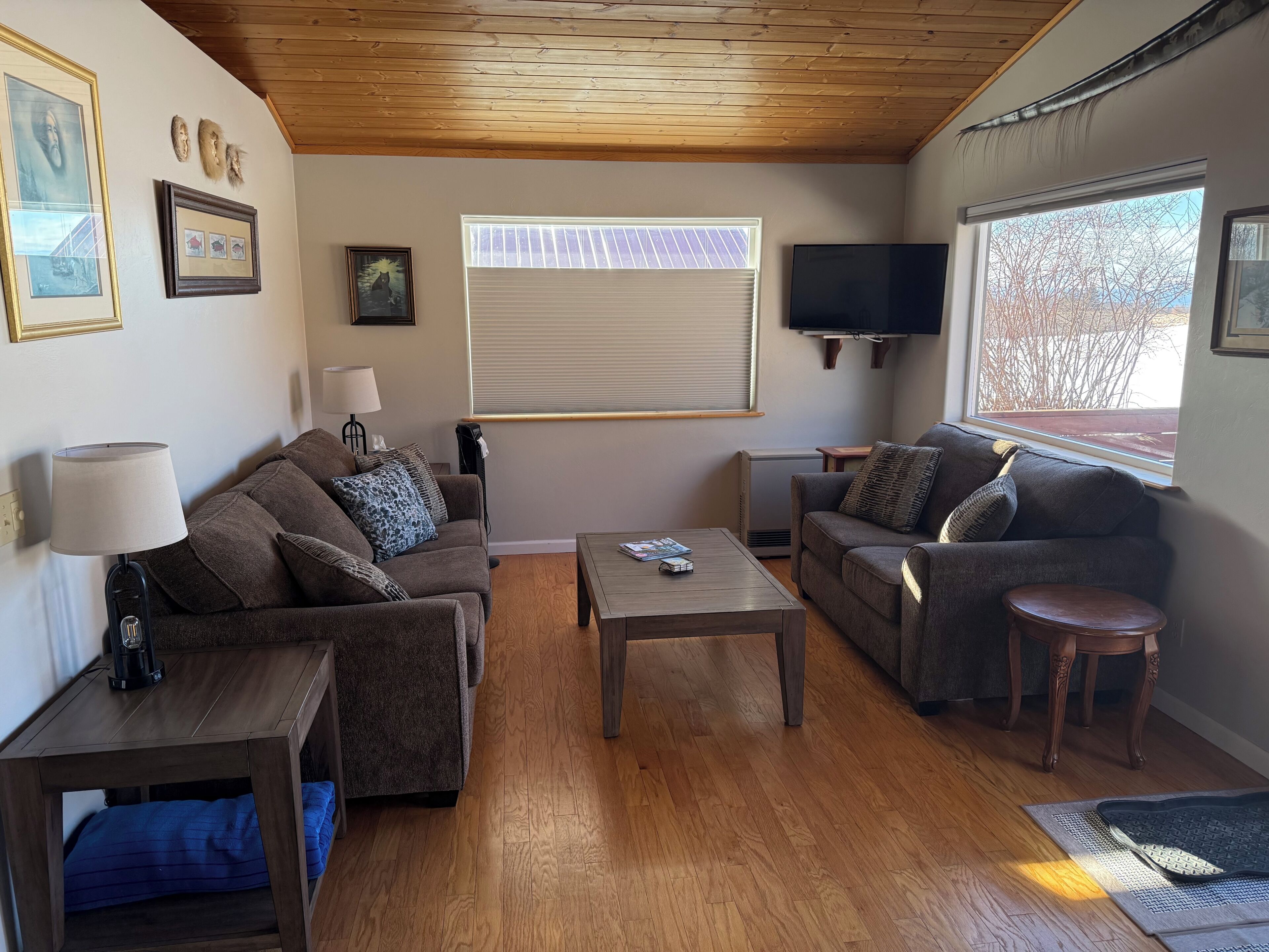 Smart-TV, DVD-Player