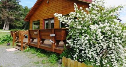 Bear Canyon Cottages - Bird House