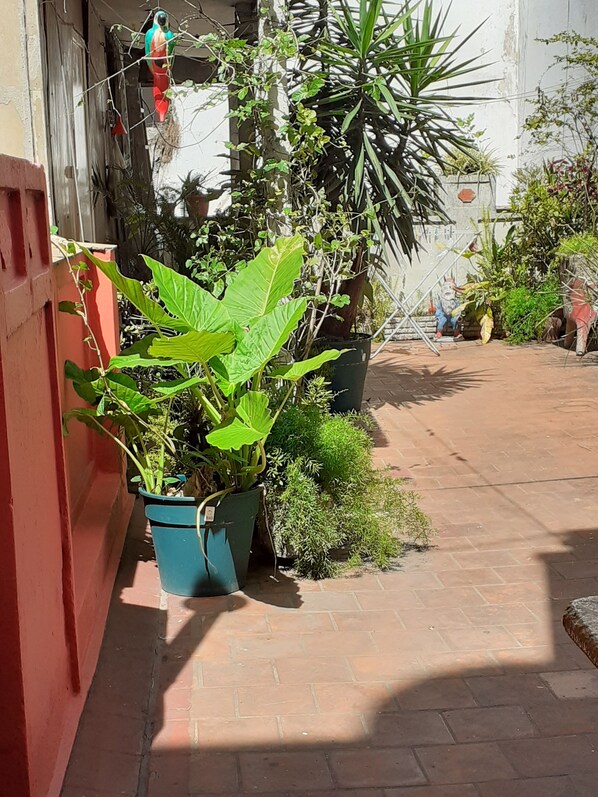 Terras