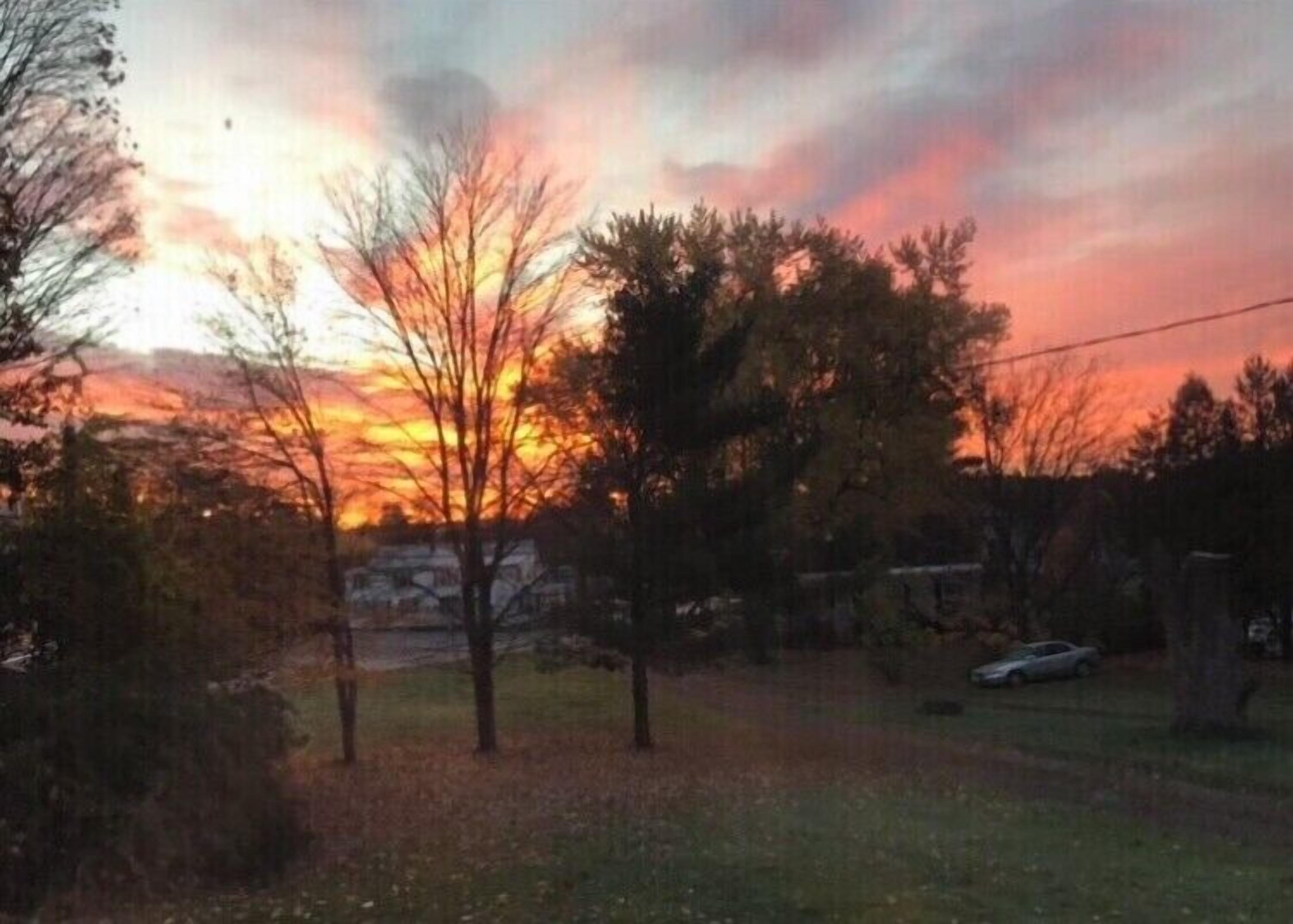 Un coucher de soleil sur une zone résidentielle, avec des arbres et une voiture garée au loin.