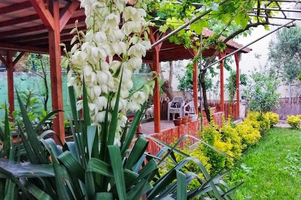 Double Room with Garden View | Garden view