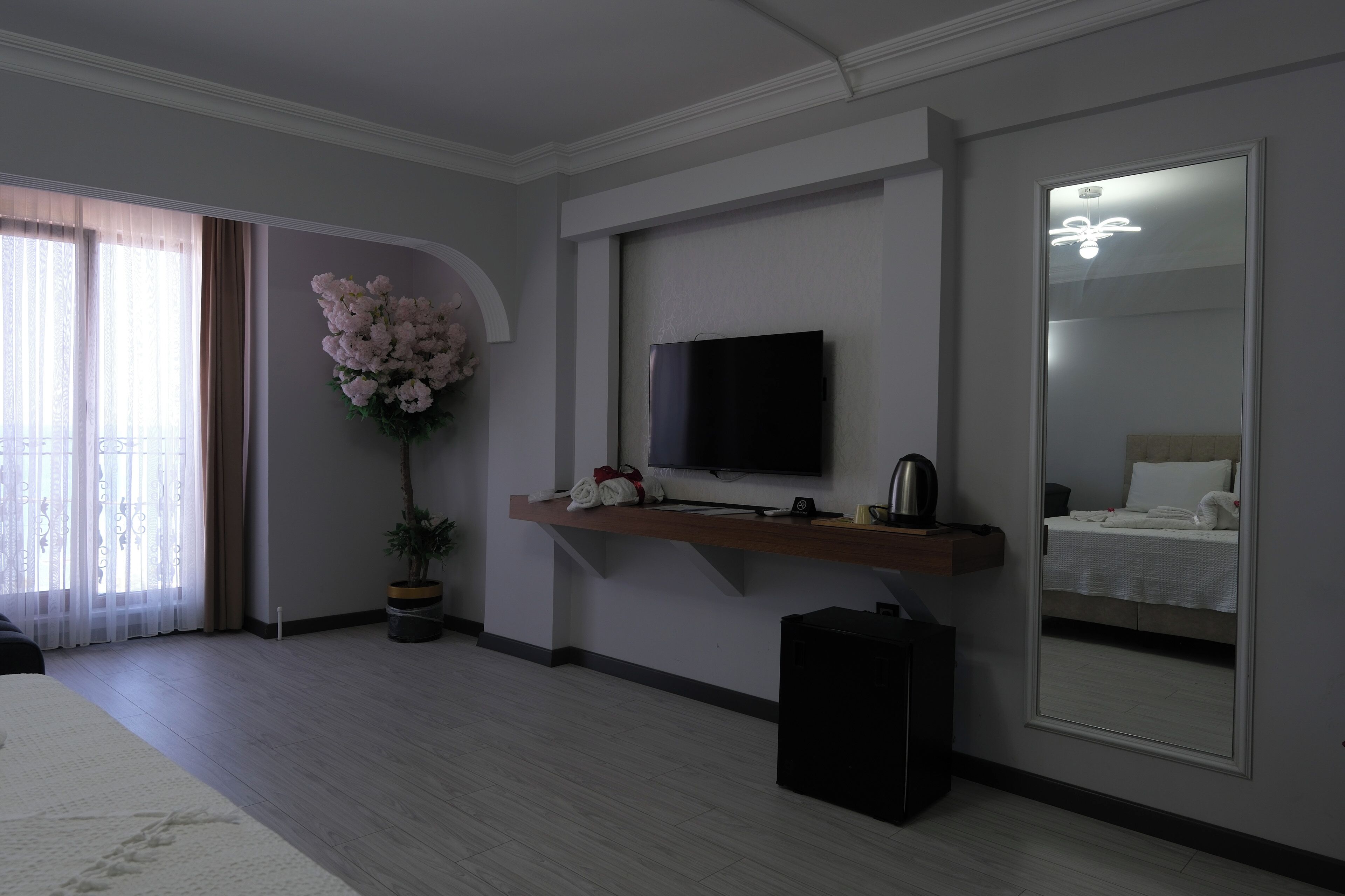 Habitación de hotel con televisión de pantalla plana, una planta en maceta, un espejo y una cama.