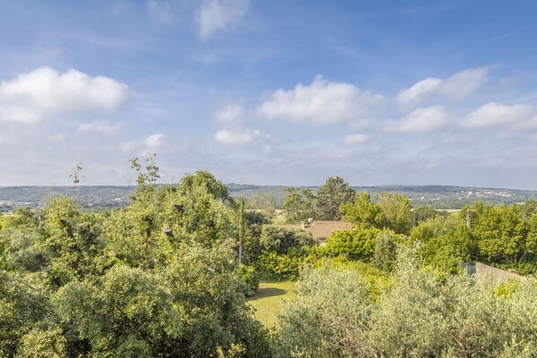 A lush landscape with a variety of trees and a clear sky. - Les Oliviers - Great value for money! (Saint-Maximin)