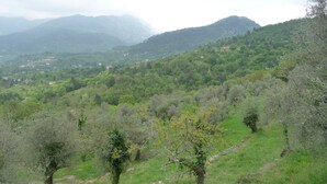 Un paysage montagneux, caractérisé par une végétation luxuriante et des arbres dispersés.
