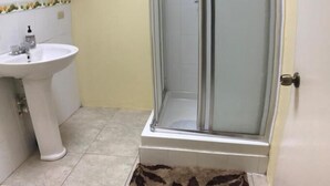A bathroom with a glass-enclosed shower, a pedestal sink, and a hand soap dispenser. - Nature's Comfortable Suite (East End)
