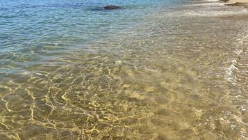 En vacker strand med stilla vatten, båtar och en skogbeklädd ö i bakgrunden.