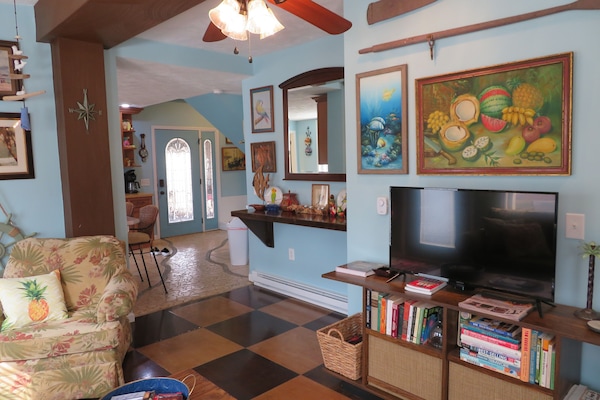 Smart-TV, DVD-Player, BĂŒcher, Videothek