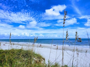 A beach with clear skies and waves, featuring tall grasses in the foreground.