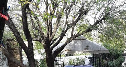 2 BEDROOMS APARTMENT SAN PEDRO GARZA GARCIA