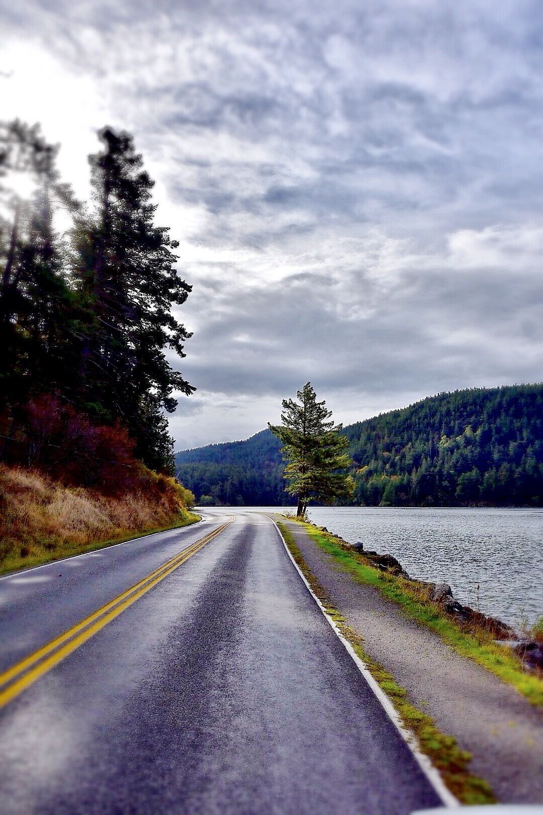 Una carretera serpentea por un bosque, con un lago a un lado y una montaña al fondo.