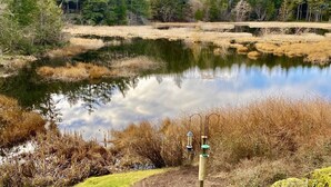 A pond surrounded by dry grass and trees, with a wooden deck and a bird feeder in the foreground.