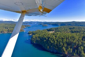 An airplane wing with a clear view of a forested landscape and a body of water below.