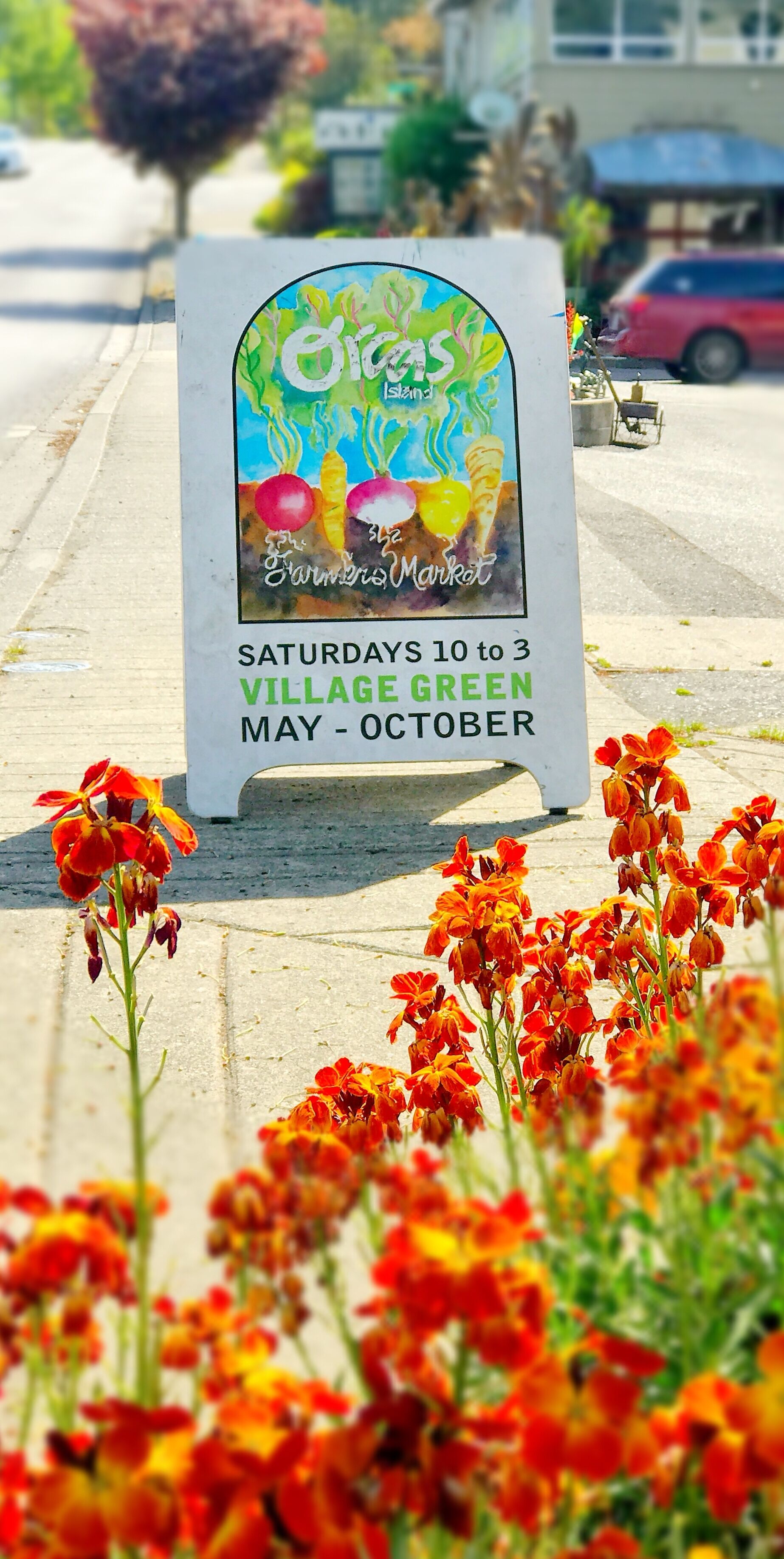 A sign for the Village Green Farmers Market, open Saturdays 10 to 3, May to October.