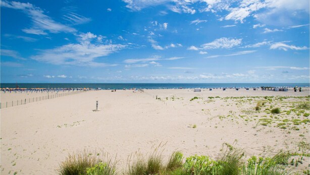 Een breed zandstrand met een hek in het midden, een heldere blauwe lucht en de oceaan op de achtergrond.