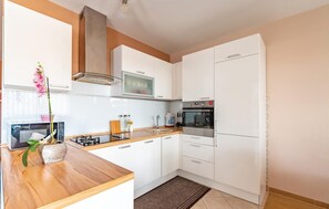 Réfrigérateur, plaque de cuisson, lave-vaisselle