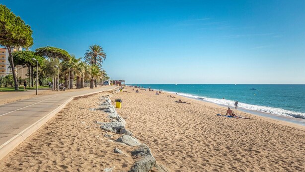 Een strand met een verharde promenade, palmbomen en een helderblauwe lucht.