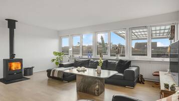 TV, fireplace, DVD player