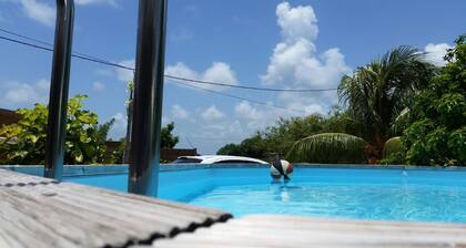 Beautiful F2 at Villa Didi, sea view, air conditioning, spa, pool, garden, boat