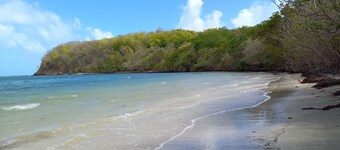 Beautiful F2 at Villa Didi, sea view, air conditioning, spa, pool, garden