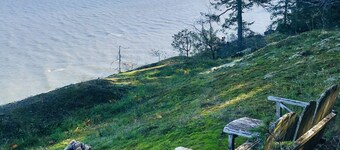 Very private home 40 acres,  ocean and ancient forest, kayaking off private dock