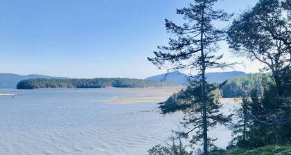 Very private home 40 acres, ocean and ancient forest, kayaking off private dock