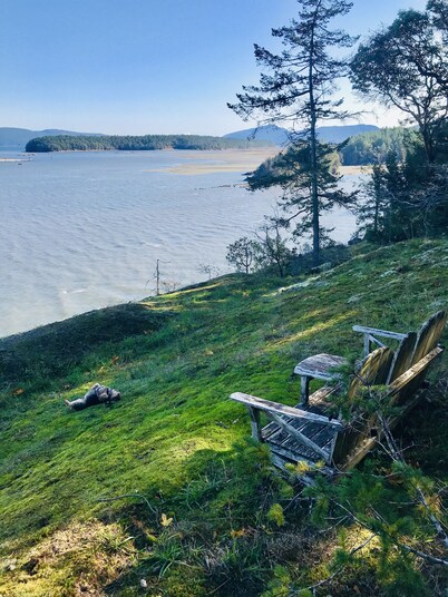 Very private home 40 acres, ocean and ancient forest, kayaking off private dock