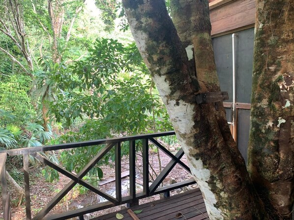 A wooden deck with a metal railing, surrounded by trees and foliage.