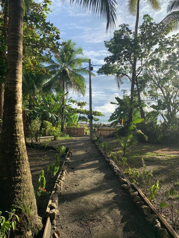 A pathway lined with palm trees leading to a wooden gate.