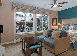 TV, fireplace, DVD player, books