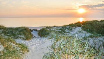Playa en los alrededores