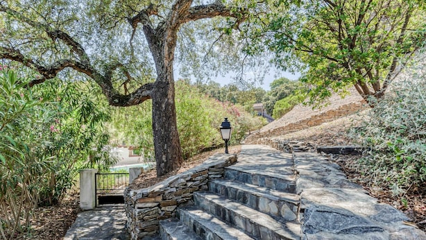 A stone staircase leading up to a building, surrounded by trees and greenery. - Lovely apartment for 10 people with A/C, WIFI, pool, TV, patio, pets allowed and panoramic view (Pierraggi)