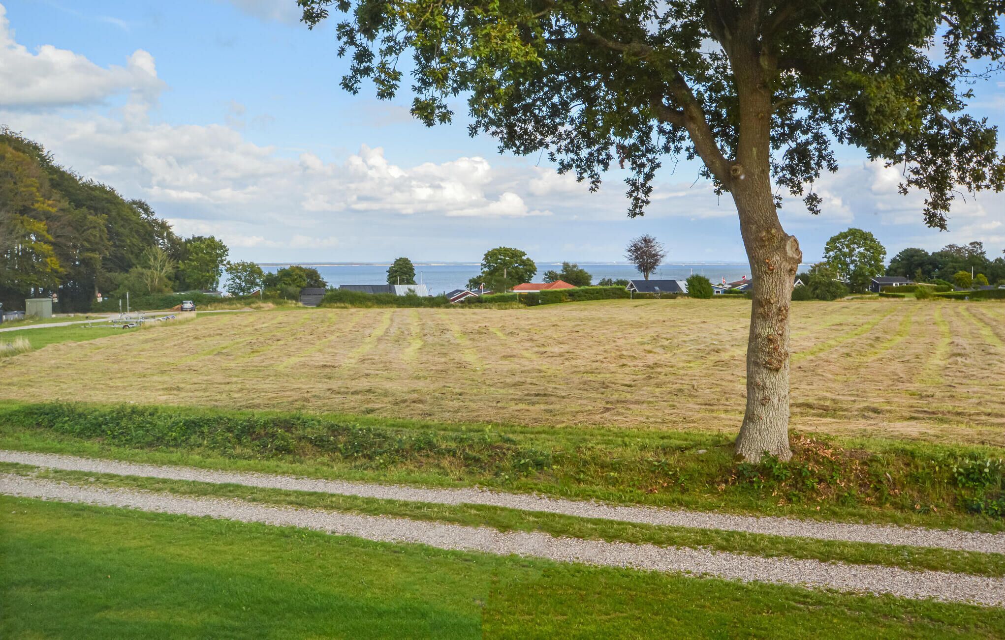 A grassy field with a gravel path, trees, and houses in the distance.