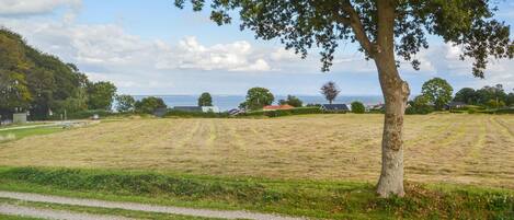 A grassy field with a gravel path, trees, and houses in the distance.