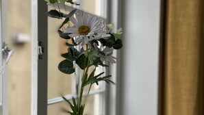 未分类图片，第 4 张，共 14 张，按钮