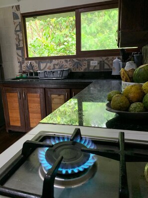Frigorífic, cafetera i tetera i bullidora elèctrica 