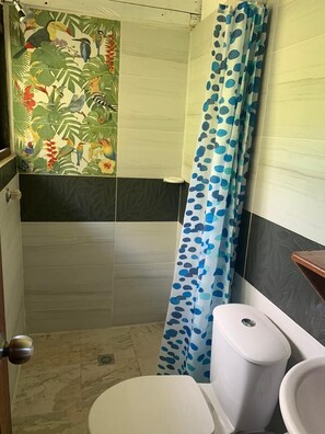 Shower, towels, soap, toilet paper