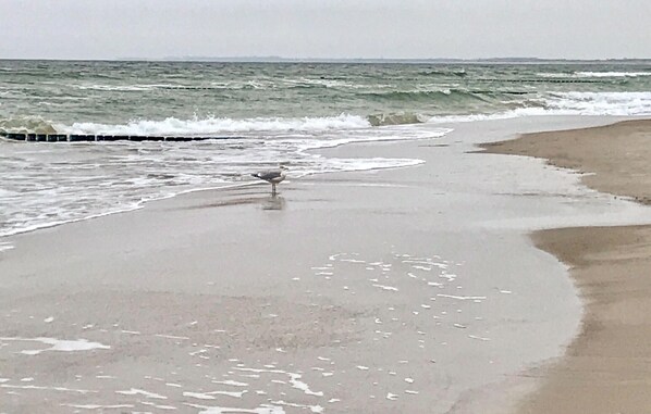 Beach nearby, fishing