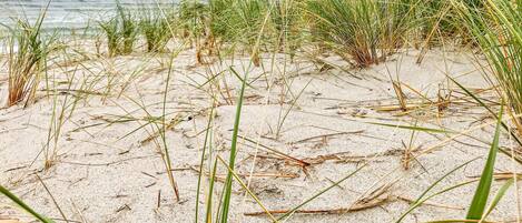 Nær stranden og fisking