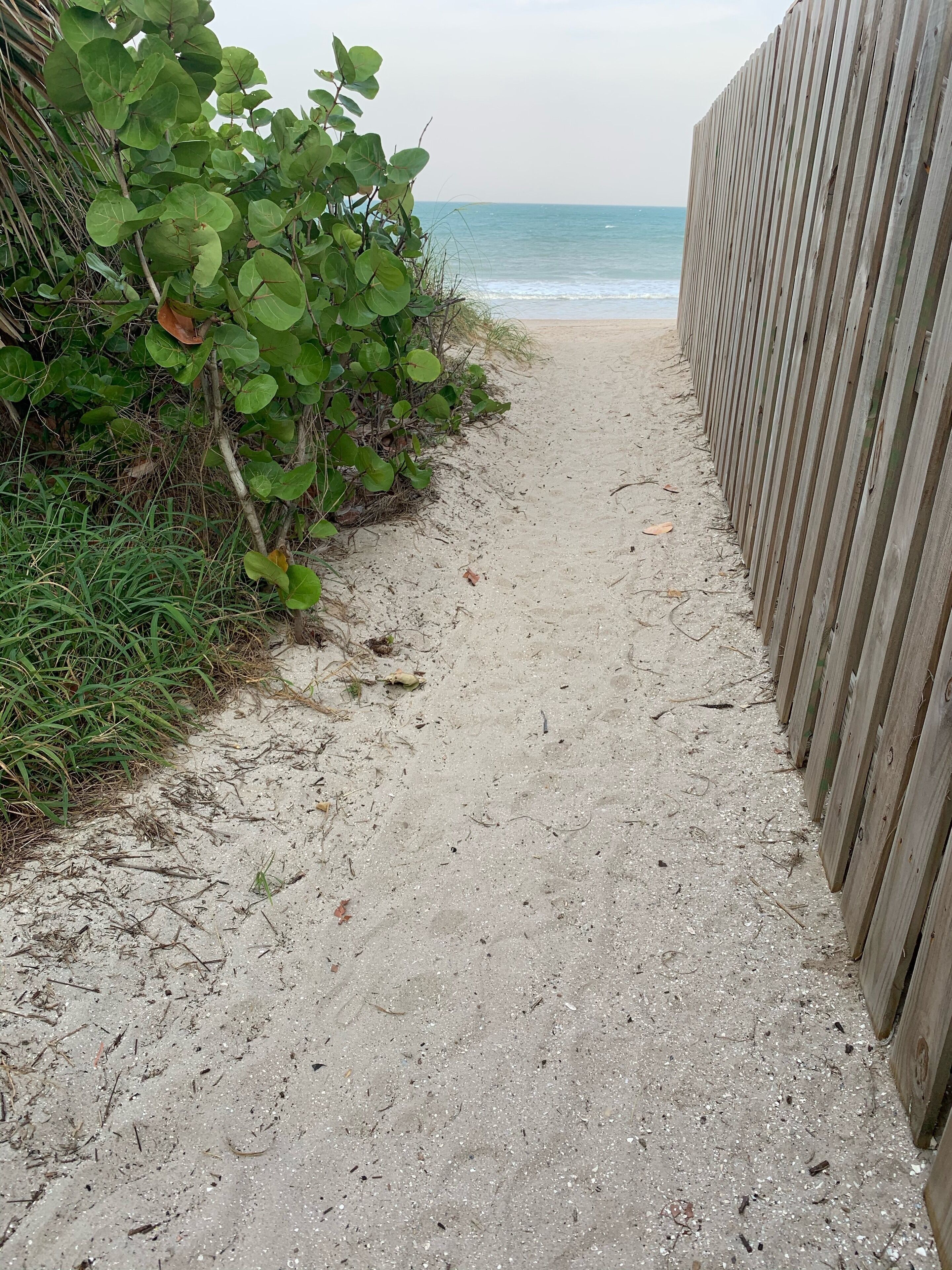 Plage