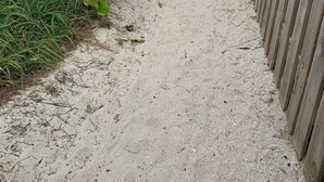 A sandy path leading to the beach, flanked by greenery and a wooden fence. - Unwind at our beautifull dog friendly beach with private access! (Vero Beach)