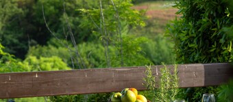 Apartment with pool, A/C, WIFI, TV, veranda, pets allowed, panoramic view, close to San Gimignano