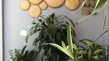 A room with a grey wall decorated with circular wooden wall art, several potted plants, and a tiled floor.