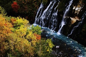 المنطقة المحيطة بالمنشأة